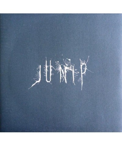 Junip Vinyl Record $11.70 Vinyl